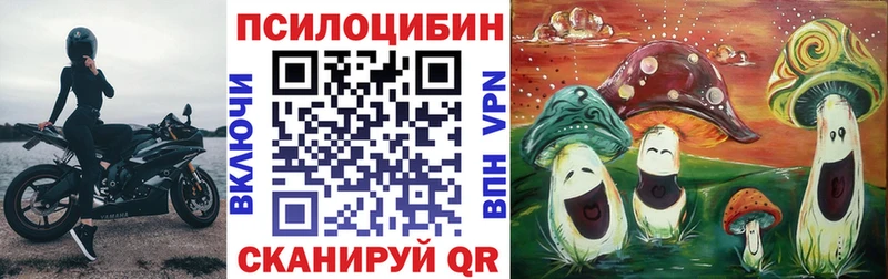 дарнет шоп  Чёрмоз  Галлюциногенные грибы GOLDEN TEACHER 